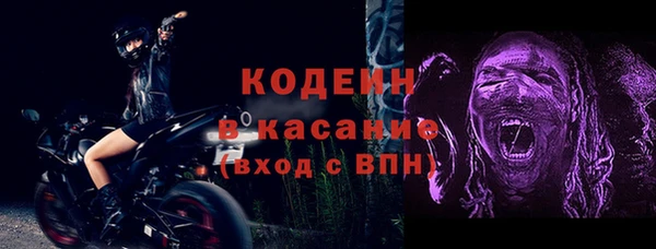 шишки Пересвет