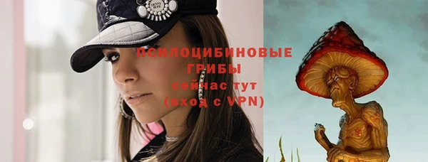 спайс Алексеевка