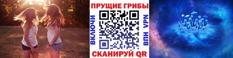 мега как войти  Абаза  Псилоцибиновые грибы Magic Shrooms  где найти наркотики 